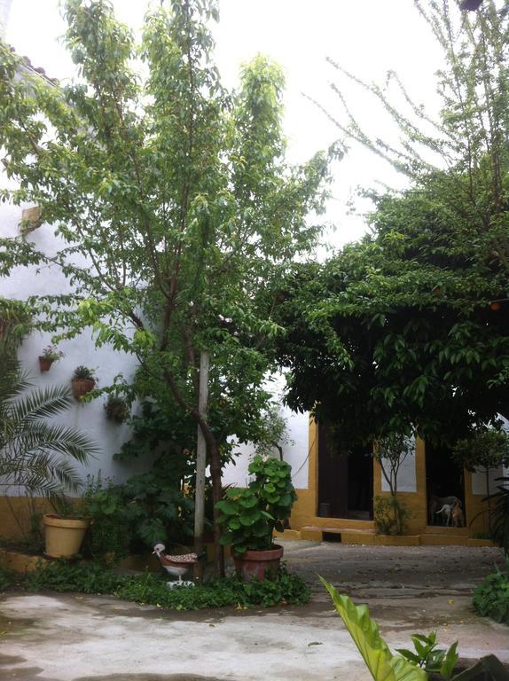 Patio Das Flores Ferreira Do Alentejo Exterior foto