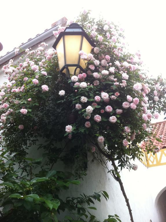 Patio Das Flores Ferreira Do Alentejo Exterior foto