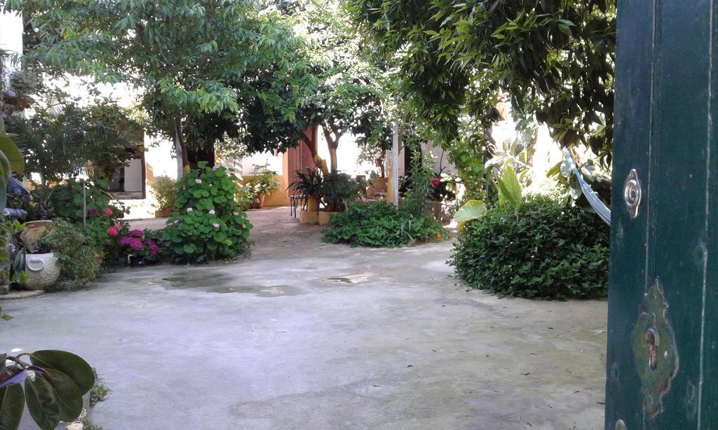 Patio Das Flores Ferreira Do Alentejo Exterior foto