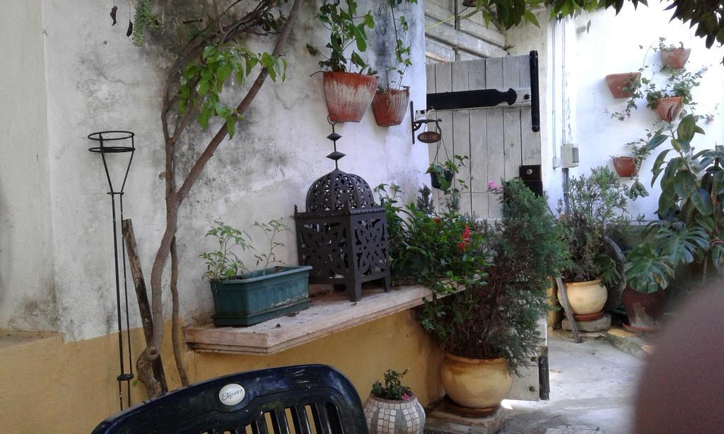 Patio Das Flores Ferreira Do Alentejo Exterior foto