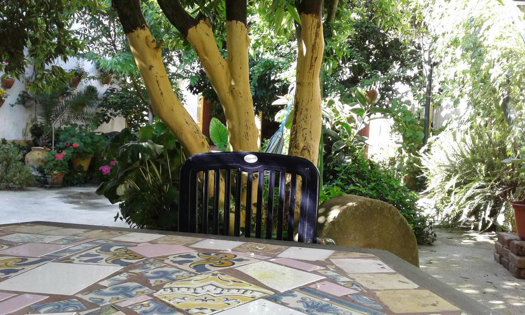 Patio Das Flores Ferreira Do Alentejo Exterior foto