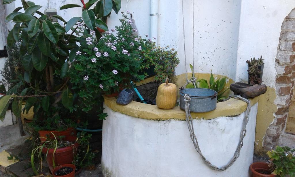 Patio Das Flores Ferreira Do Alentejo Exterior foto